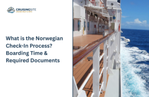 Read more about the article What is the Norwegian Check-In Process? Boarding Time & Required Documents