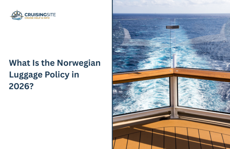 Read more about the article What Is the Norwegian Luggage Policy in 2026?