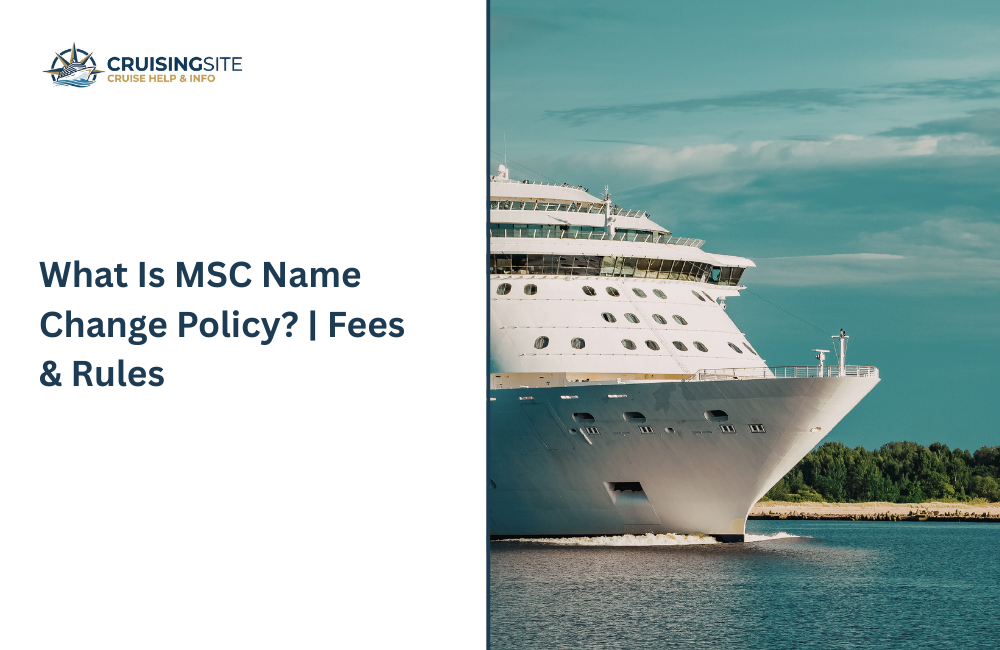 You are currently viewing What Is MSC Name Change Policy? | Fees & Rules