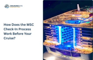 Read more about the article How Does the MSC Check-in Process Work Before Your Cruise?